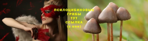 spice Краснослободск