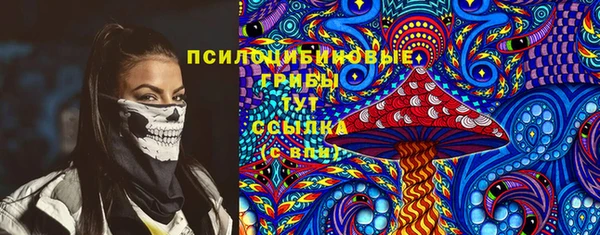 дживик Коряжма