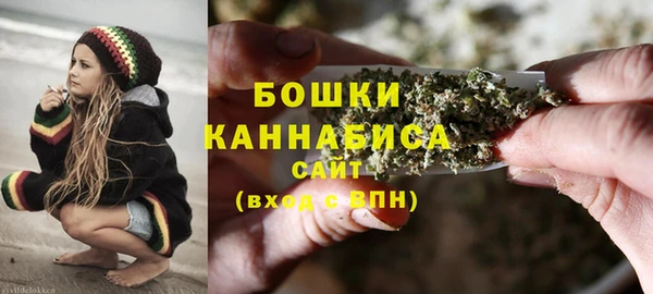 spice Краснослободск