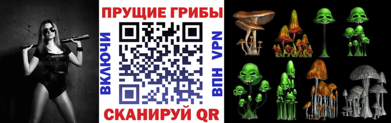 Псилоцибиновые грибы GOLDEN TEACHER  Купить закладки  Волжский 