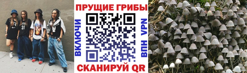 Псилоцибиновые грибы мицелий Волжский