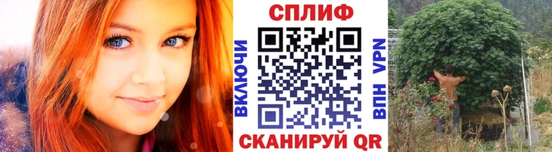 Шишки марихуана конопля Купить где Волжский